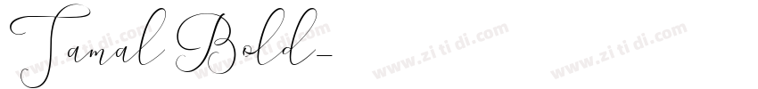 Tamal Bold字体转换